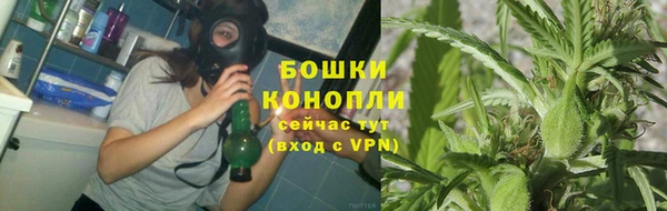 ПСИЛОЦИБИНОВЫЕ ГРИБЫ Зерноград