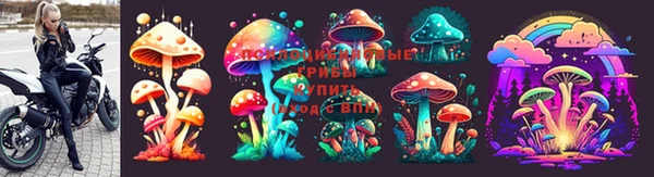 ПСИЛОЦИБИНОВЫЕ ГРИБЫ Зерноград