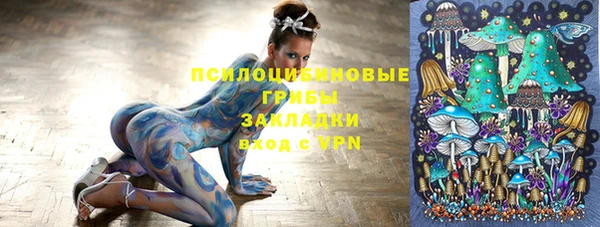 ПСИЛОЦИБИНОВЫЕ ГРИБЫ Зерноград