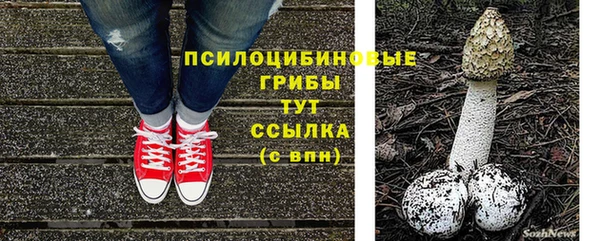 ПСИЛОЦИБИНОВЫЕ ГРИБЫ Зерноград