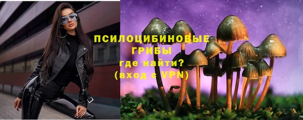 PSILOCYBIN Зеленодольск