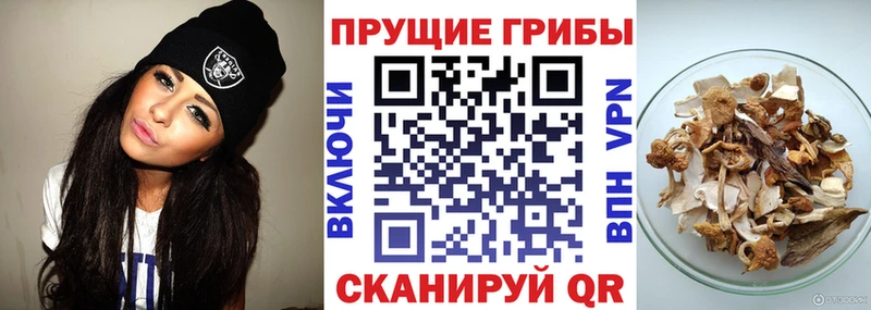 Купить закладки  Мариинский Посад  Галлюциногенные грибы GOLDEN TEACHER 